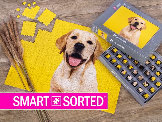 Exkluzívna novinka na puzzleYOU: SMART SORTED®